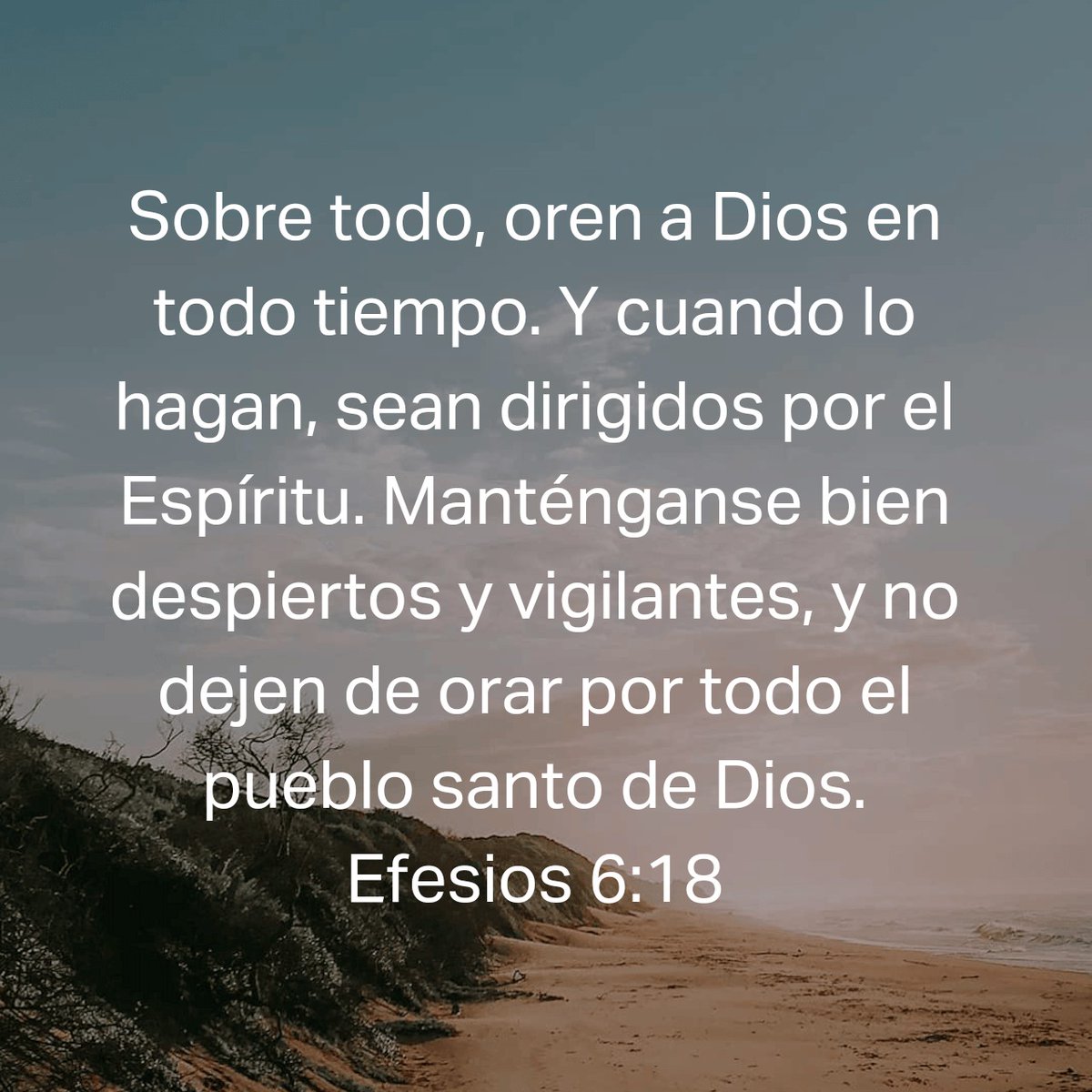AbelGuz94795968's tweet photo. Efesios 6:18
Orar Todo el tiempo.
#biblia #PalabraDeDios #versiculosbiblicos #YoAmoADios https://t.co/ZJhDxNRJWr