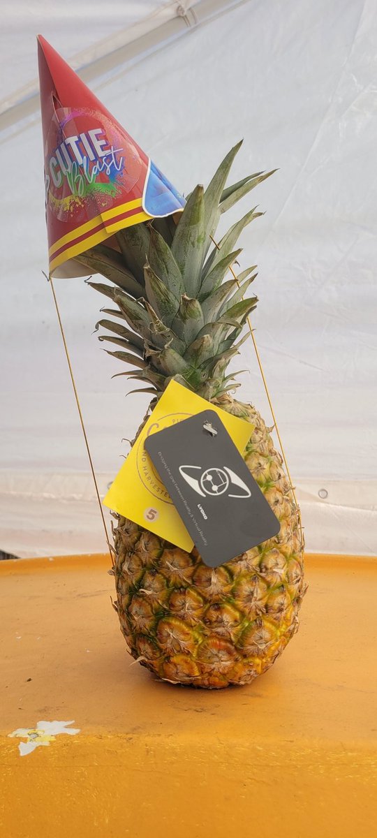 Denzophage tweet media