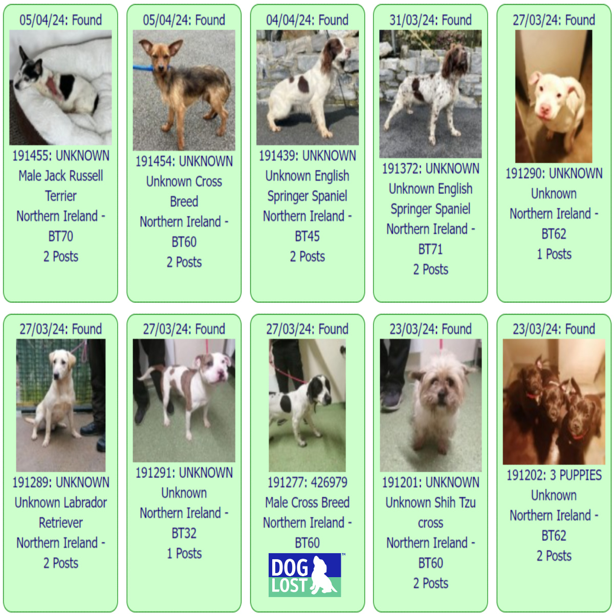 #FOUND #DOGS NORTH WEST * April 5th ~ March 23rd 2024 These #FoundDogs are on the @DogLost_UK site as being FOUND in our North West Area If you see your dog below go to doglost.co.uk and put the ID NUMBER (shown under the photo) into the search menu for more details