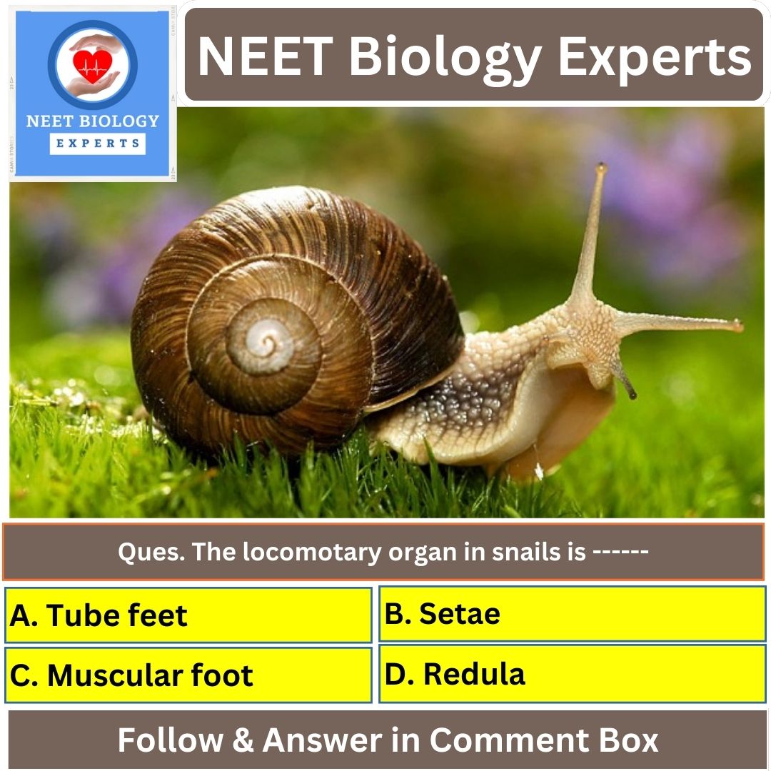 NEET Biology Experts (@neetbiologyMCQs) / Posts / X