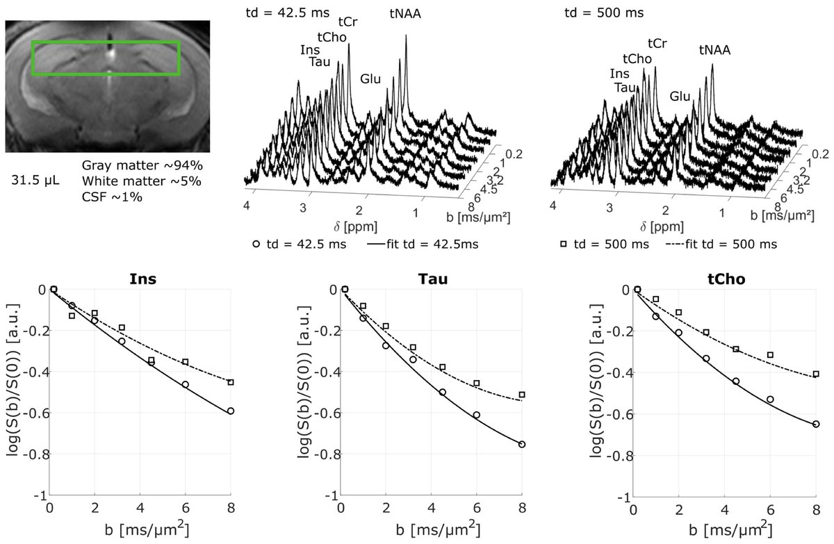 Imaging Neuroscience tweet media