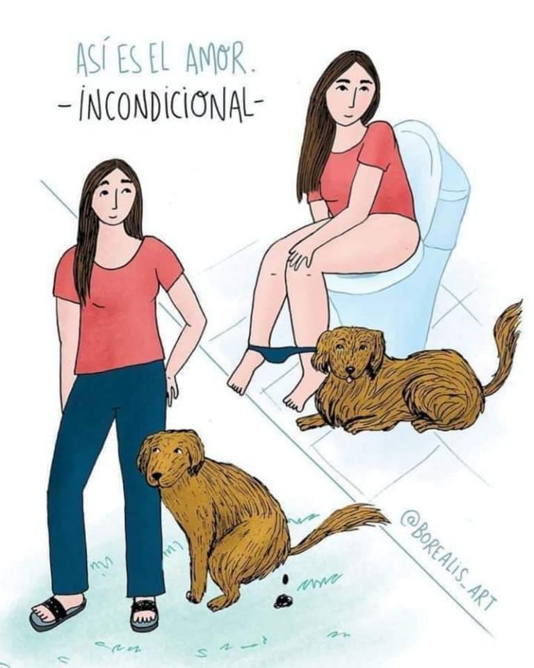 Cuando tienes un perrito nunca más te sientes sol@.