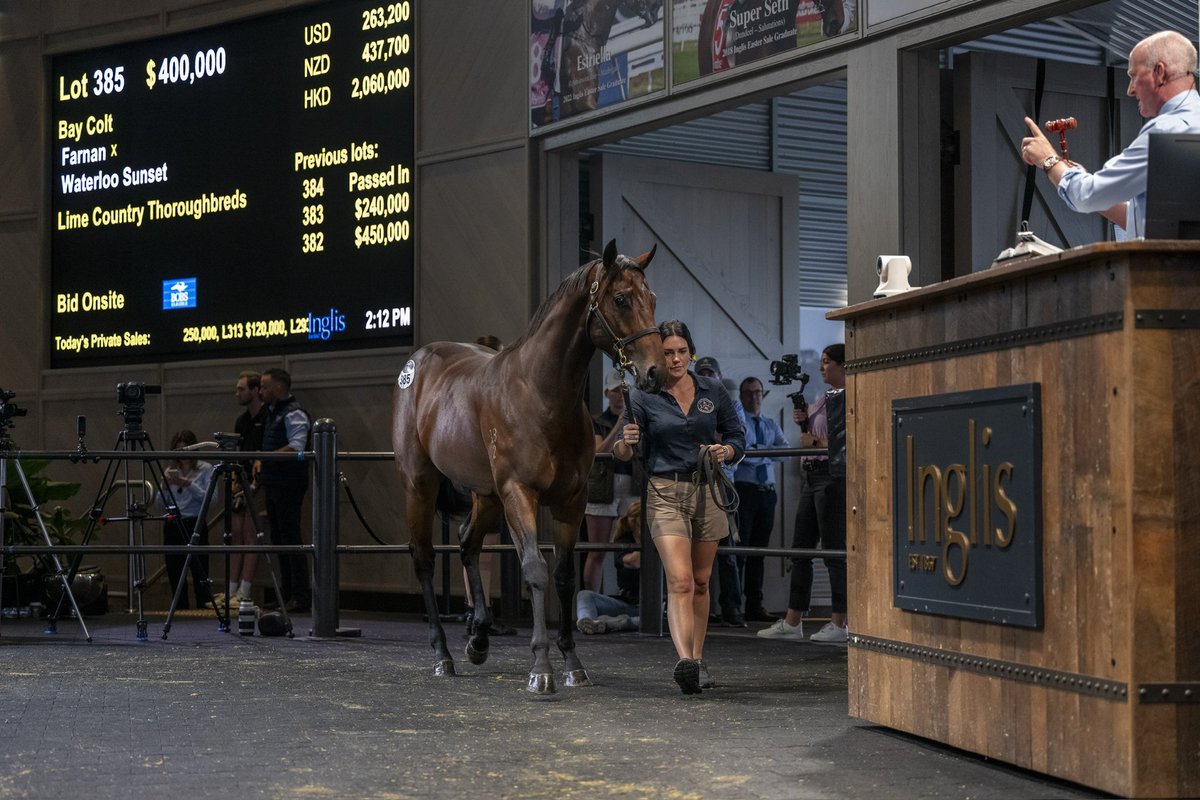 From Jo Griffin “One of the most beautiful and athletic yearlings we have prepared this year.” Congratulations to @GaiWaterhouse1 & Adrian Bott on their purchase of Lot 385 the Farnan x Waterloo Sunset Colt for $400k. Get in touch with the stable for information on shares…
