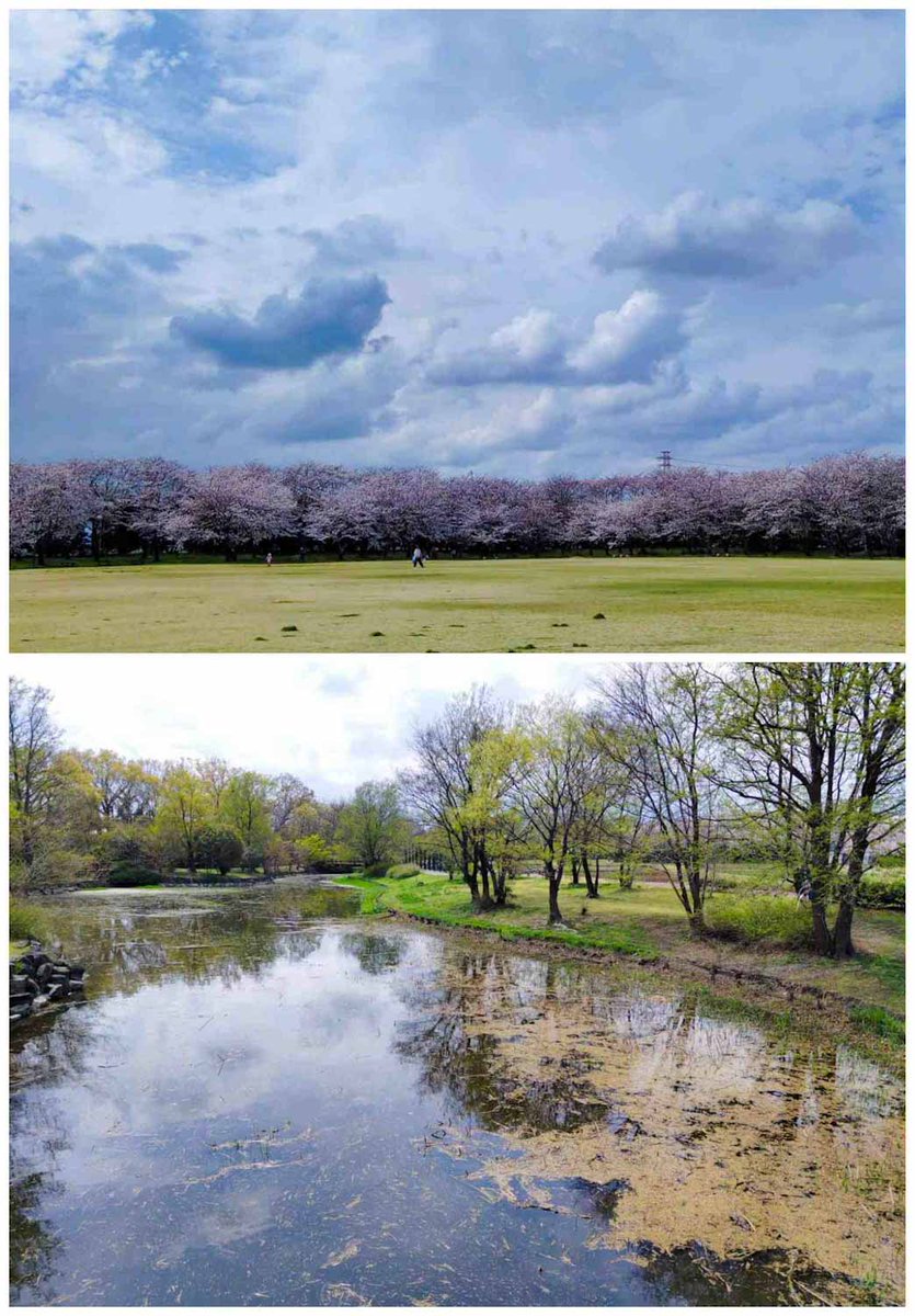 別府沼を中心に芝生広場から日本庭園など全体で4kmくらいありそうな広い公園。沼沿いの遊歩道が特に好き。