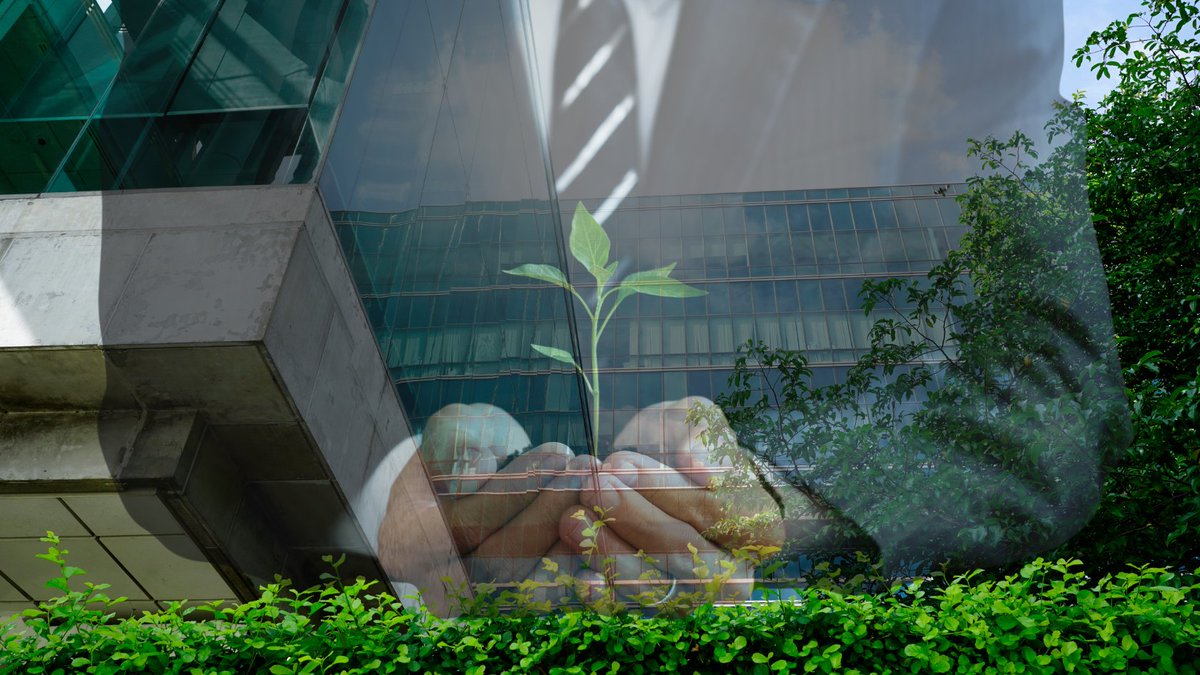 Spacewell Energy (Dexma) España tweet media