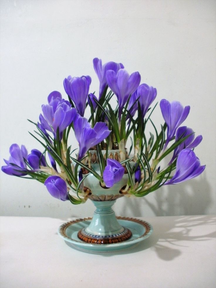 이거 넘 신기하고 이뿌다
크로커스 꽃나무 같아