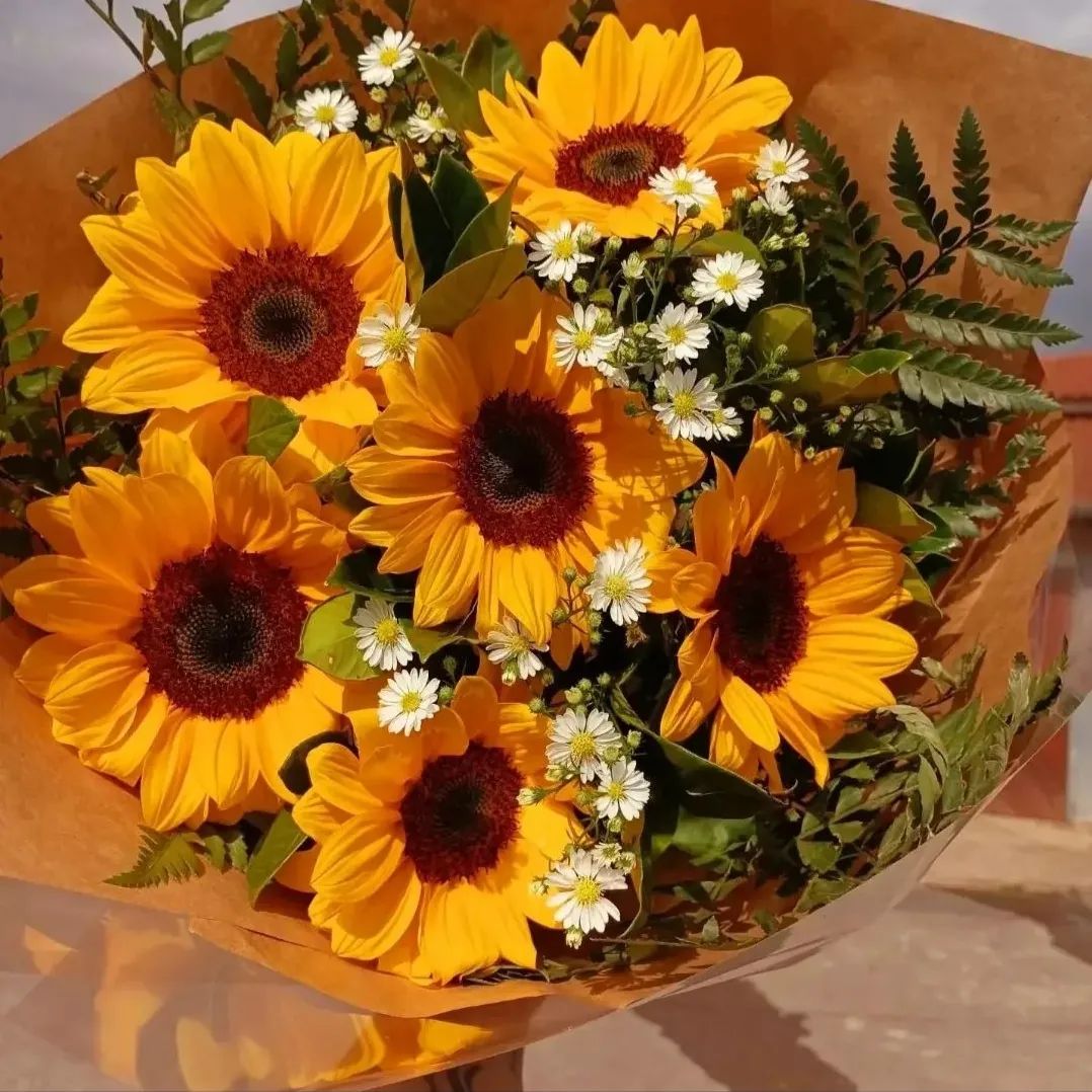 Love!
#SunflowerS2