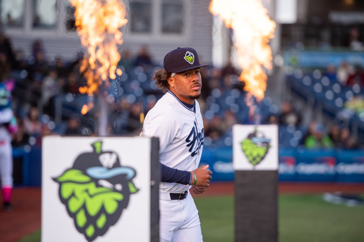 Oregon Sports Photos tweet media