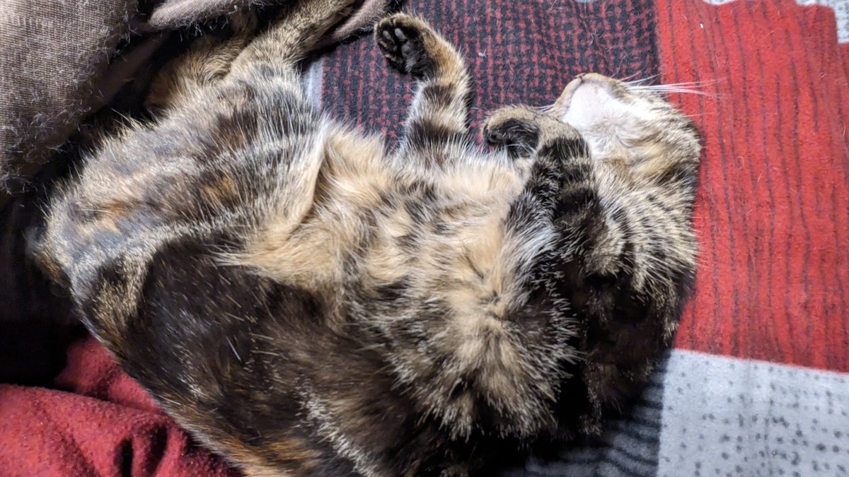 Mario Fahlandt 🦊 tweet media