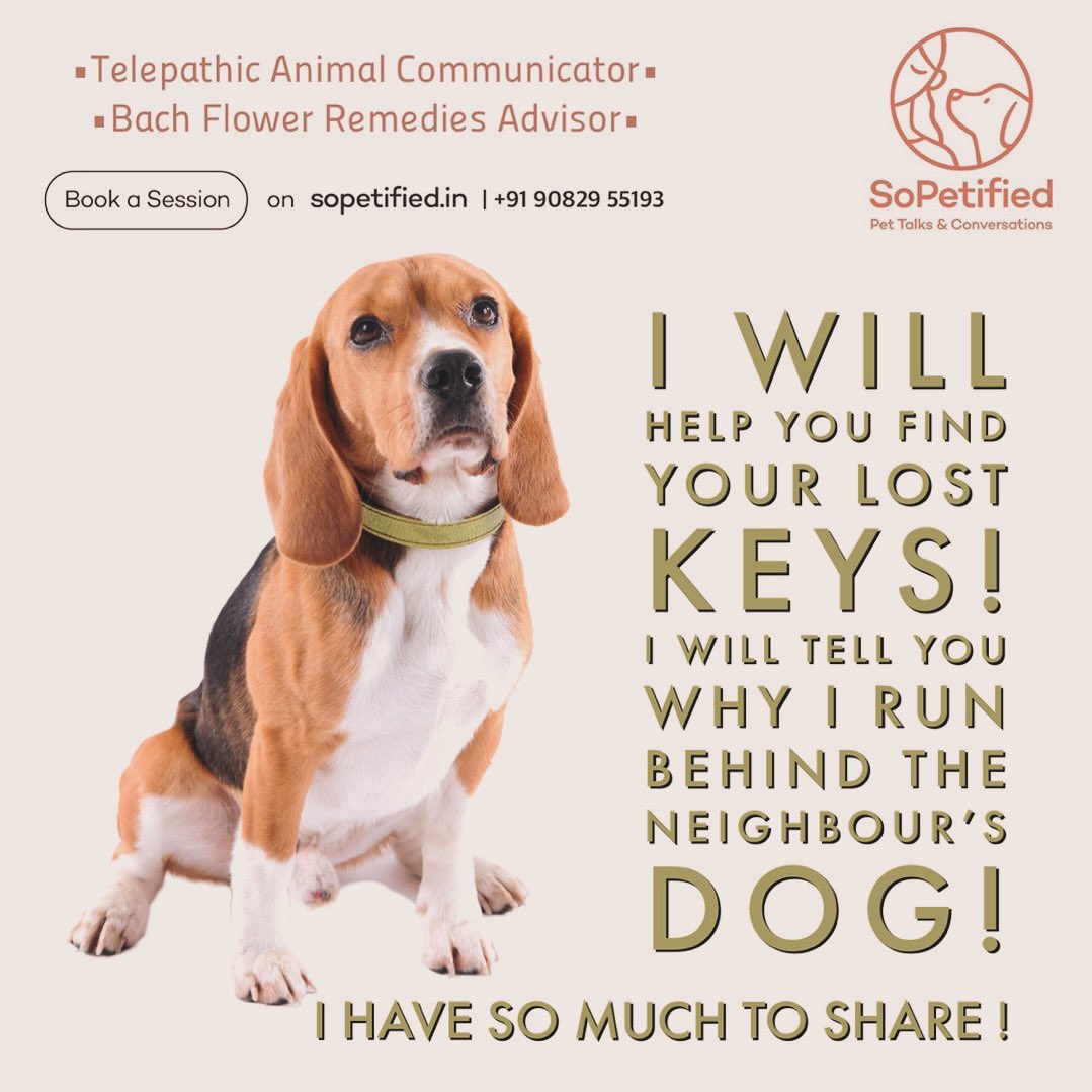 SoPetified.in
Book a Session