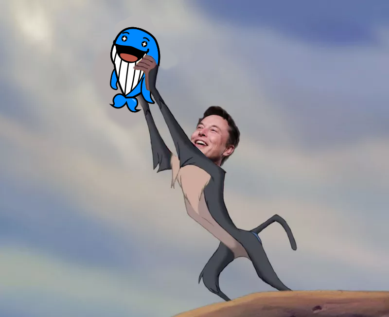 Whalemeonsui's tweet photo. [Friendly reminder]

🔔🔔It's time!!! Stake your Whaleme now: https://t.co/Lwy9iSvoE3

✨Full event article✨
https://t.co/KNLPk00fv2

Show us your NFT and don't forget that you have a 1000 SUI pool reward awaited 🐳

$WHA #BuildonSUI https://t.co/QIf7CFdfxh