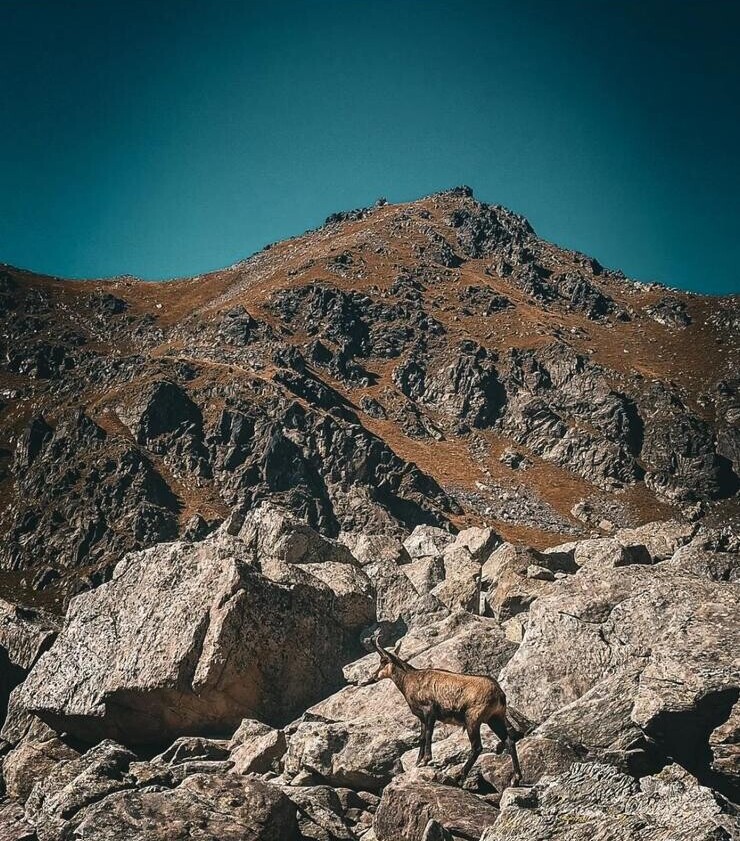 (Re)Découvrez chaque jour le #Département06 en photo ! Partagez vos plus beaux clichés du Département avec #AlpesMaritimes L'équipe du Département vous souhaite une belle journée ☀️ 📸 eyliades_photographie (IG)/Cime du DIable #CotedAzurFrance #VisitCotedAzur @VisitCotedazur