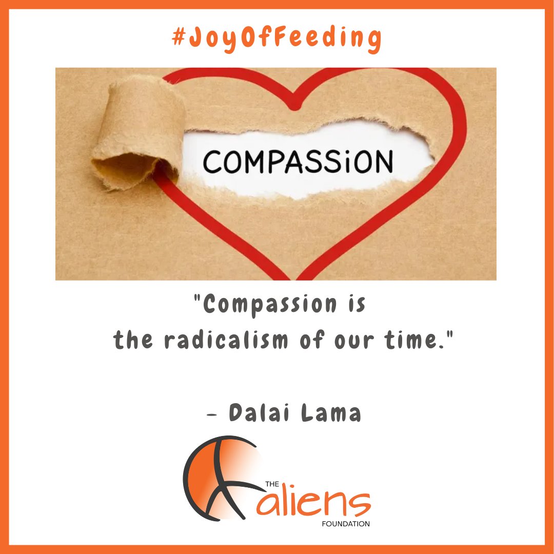 'Compassion is the radicalism of our time.' 

- Dalai Lama

#TheAliensAngels #AliensAngels #TheAliensFoundation #JoyOfFeeding #Pune #India #Food #Hunger #kind #kindness #words #wordsmatter #wordstoliveby #bekind #kindnessmatters
