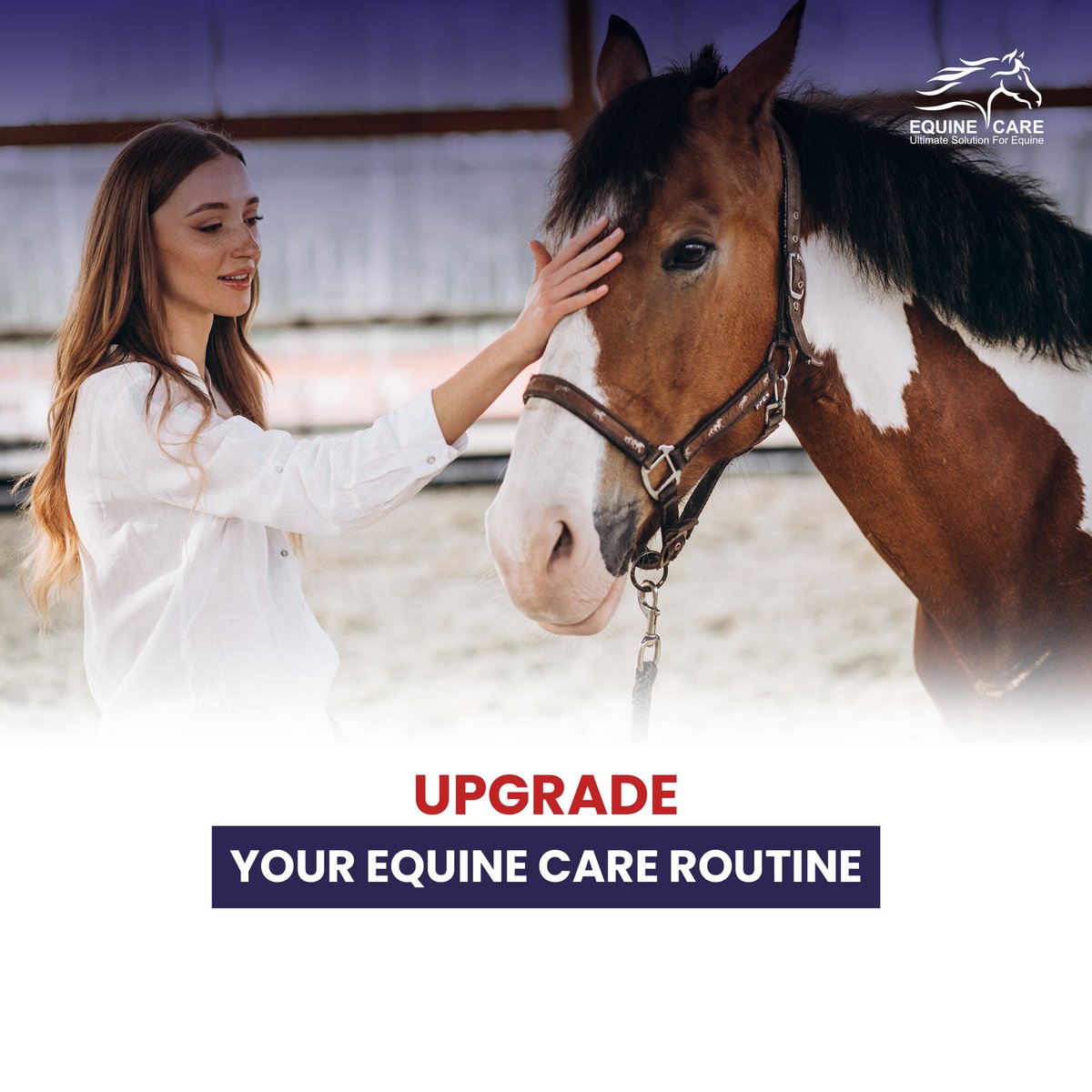 From essential farrier tools to comfortable tack and high-quality feed, we have everything you need to upgrade your equine care routine and invest in your horse's future.

#equinecare #horsecare #investinyourhorse #upgradeyourequinecare #holisticcare #healthyhorse #happyhorse
