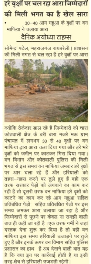 रायबरेली जिले के महराजगंज थाना क्षेत्र के बरी बरा में खुलेआम वनमाफियाओं द्वारा  प्रतिबंधित पेड़ों पर चलाया जा रहा आरा। क्षेत्र में लगातार जारी है अवैध कटान।
 <a href="/Igrangelucknow/">IG Range Lucknow</a> <a href="/myogiadityanath/">Yogi Adityanath</a> <a href="/dmraebareli/">DM RAE BARELI</a> <a href="/raebarelipolice/">Raebareli Police</a> <a href="/Uppolice/">UP POLICE</a> <a href="/DFO_Pacific/">DFO Pacific</a>