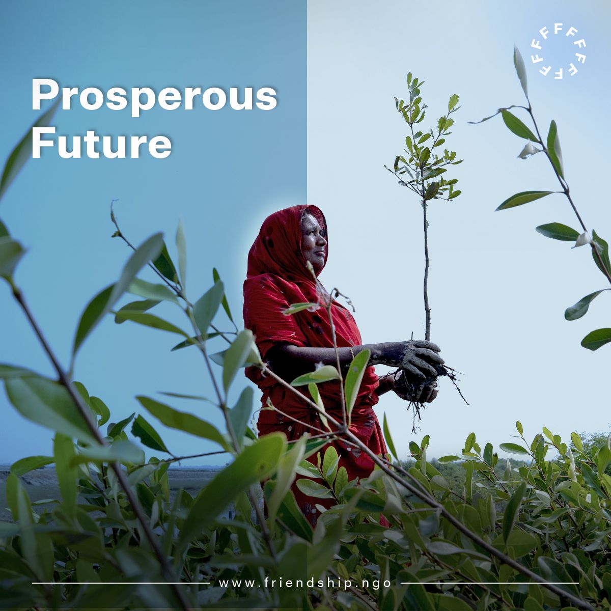 Every #mangrove sapling planted is a beacon of hope for local communities, promising a future where #livelihoods are secured through nature's bounty. As these saplings mature, they'll provide essential resources, symbolizing a greener, more prosperous future for all. #SDG1 #SDG13
