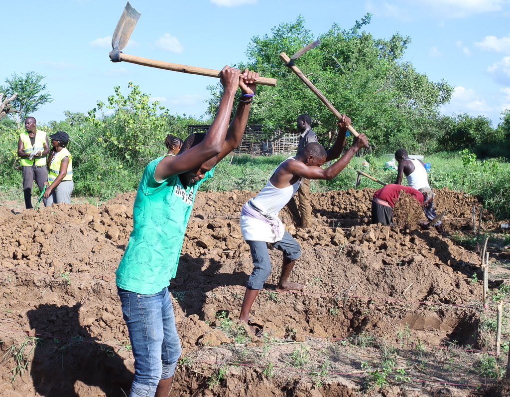 D. Collins Owuor, PhD tweet media