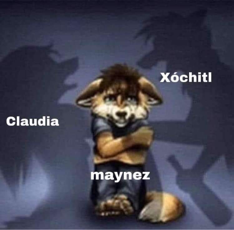 resumen del debate: