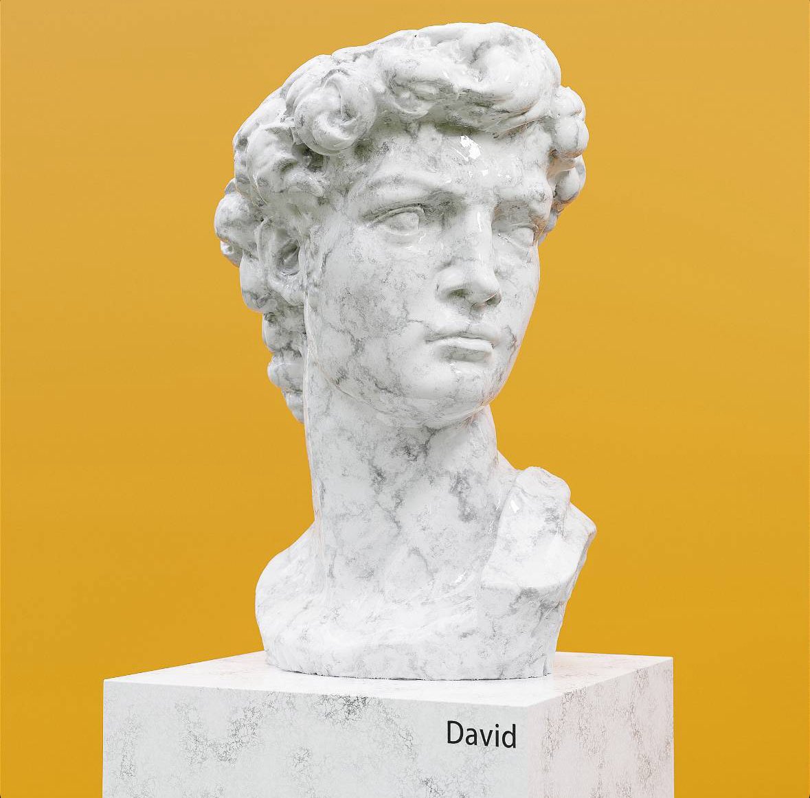 Algo NFT - David No. 1 
(1 of 1). Real OG deep cut Algoland nft. Prob belongs in an Algorand museum. #David #KingOfTheNFTs 💪