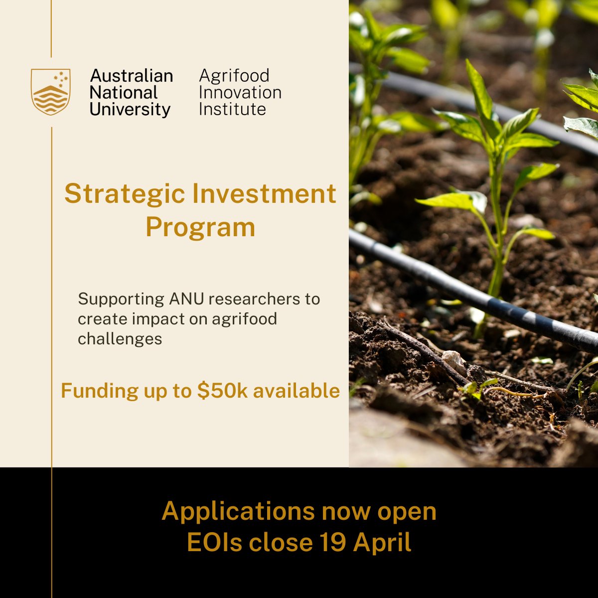 There is still time to get your Expression of Interest in for the AFII Strategic Investment Program. Funding of up to $50k is available to @ourANU researchers for projects that help address agrifood challenges through collaboration with industry. See: ceat.org.au/ceat-strategic…