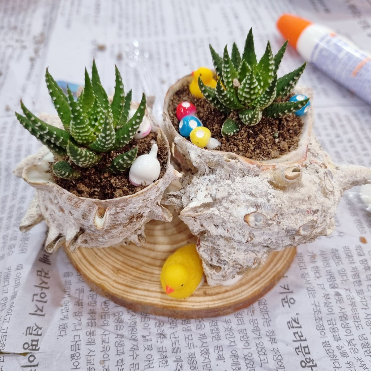 dongjaksarang's tweet image. #육아종합지원센터 부모자조모임을 통해
육아동지도, 특별한 취미도 생겼다는
#동작SNS홍보단 허미연님~!

그 생생한 후기를
지금 바로 #동작구청 블로그에서 만나보시고,
육아맘님들도 좋은 정보 얻어가세요 💡

자세히보기👇🏻

blog.naver.com/dongjaksaran/2…

 #다육이키우기 #동키 #동작키즈카페 #육아맘