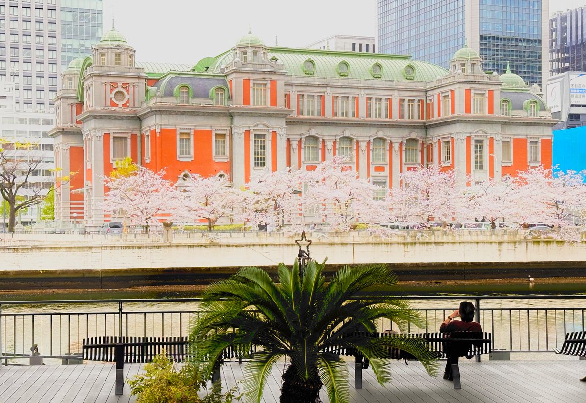 moto2376's tweet photo. 中之島も桜模様🌸 https://t.co/qv7wRFx4LJ