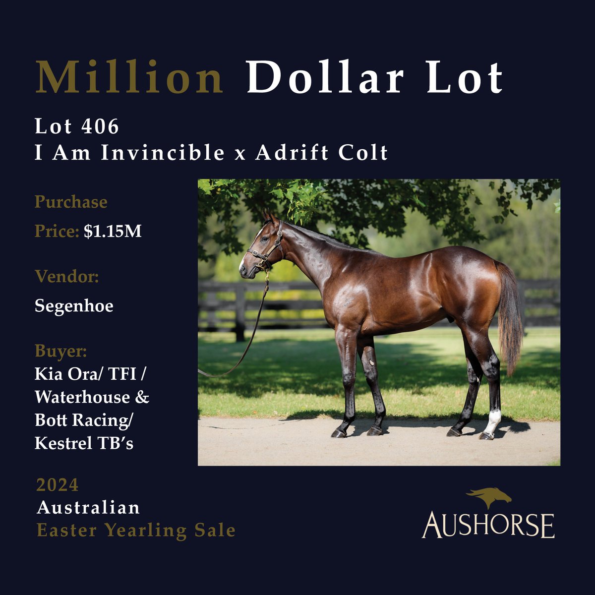 The million dollar lots keep coming... Lot 406 - I Am Invincible x Adrift Colt sells for $1,150,000 to Kia Ora/TFI/Waterhouse & Bott Racing/Kestrel Thoroughbreds. #InglisEaster