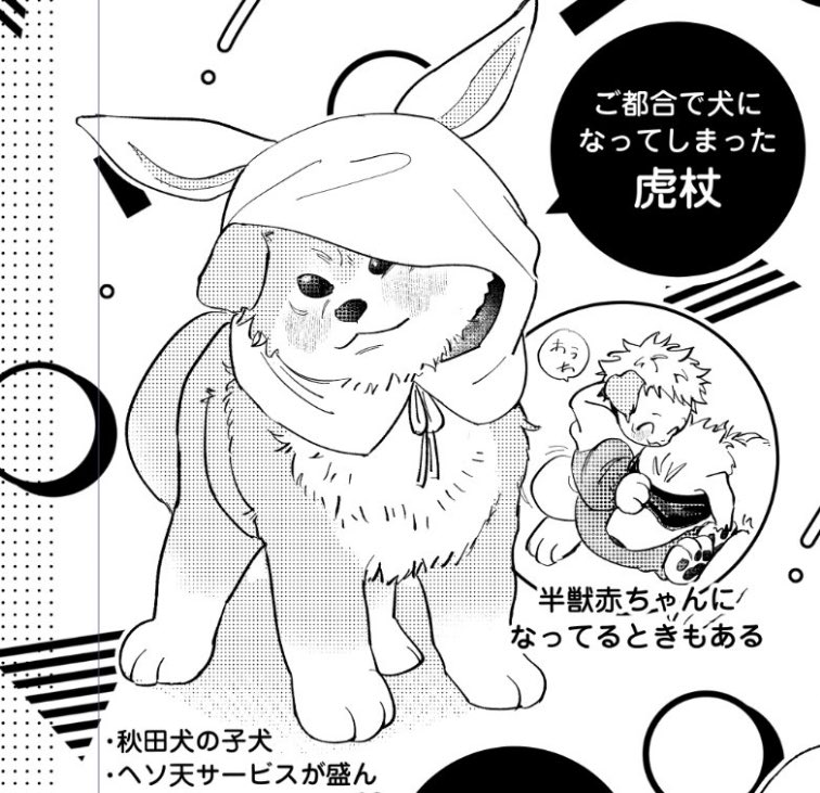 本日シバの日なので🐶ごゆ置いておきます 