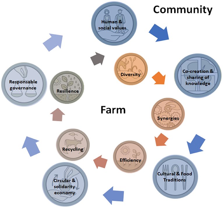 APSIDKe's tweet photo. By aligning regulations and standards across borders, we can foster fair competition, boost efficiency and promote equitable trade relationships. Let's work together towards a more integrated and interconnected world economy #TradeHarmonization #GlobalProsperity #SustainableTrade https://t.co/UD1oCDDXyT