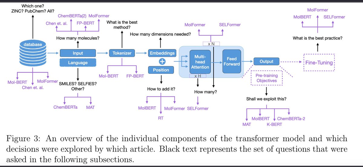 Transformers for molecular property prediction: Lessons learned from the past five years Very comprehensive overview of design choices and how they led to different methods, eg MolBERT, ChemBERTA,.. arxiv.org/abs/2404.03969