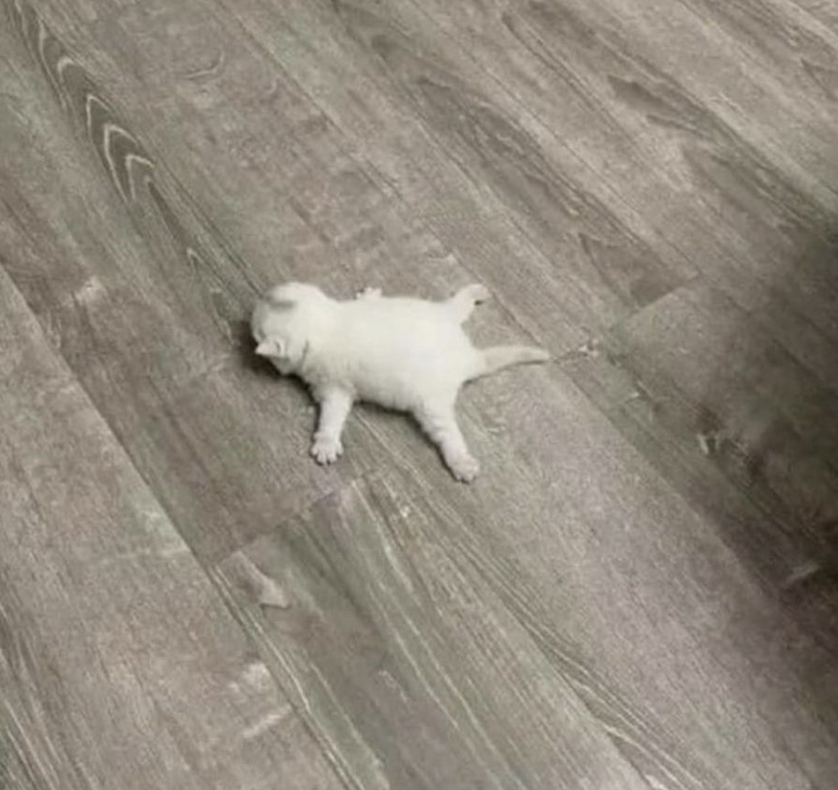 me when I finish my assignments with a literally minute to spare