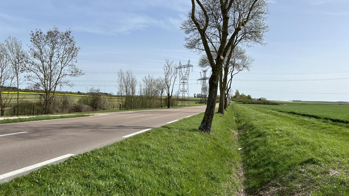 lesteclair's tweet photo. Entre Creney-près-Troyes et Piney, 90 % des arbres vont être abattus sur la RD 960 https://t.co/1ShuNGRbyH https://t.co/NpRP39FXEi
