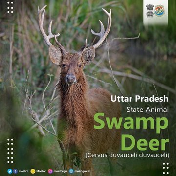 #NaturalTreasuresOfIndia from the state of #UttarPradesh 

#ProPlanetPeople