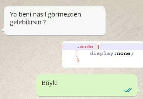 kızı da class yapmış, başka kızlarda da kullanıcak demek ki, id falan değil...

#sude {
visibility:hidden;
}

çok daha doğrudur... 😂😂😂