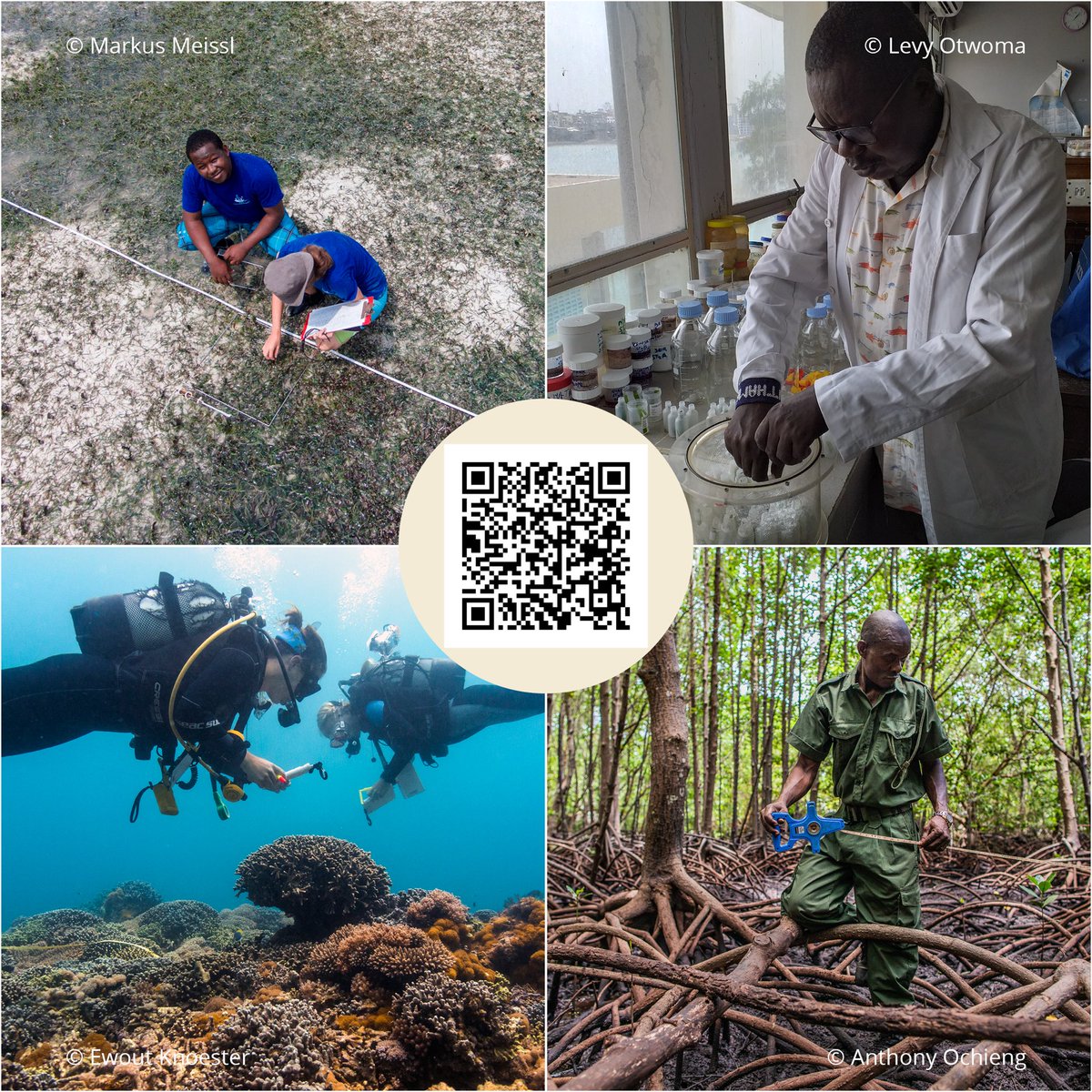 Call for Proposals: Commissioned Research Grant

WIOMSA is offering research grants as part of the "Sustainable Blue Future in the Western Indian Ocean – Institutional Strengthening through Science, Capacity, and Assimilation for a Sustainable Blue Future – SCALABLE” project.