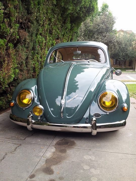 #vw #volkswagen #beetle #bug #kafer #fusca #vocho #MondayMorning