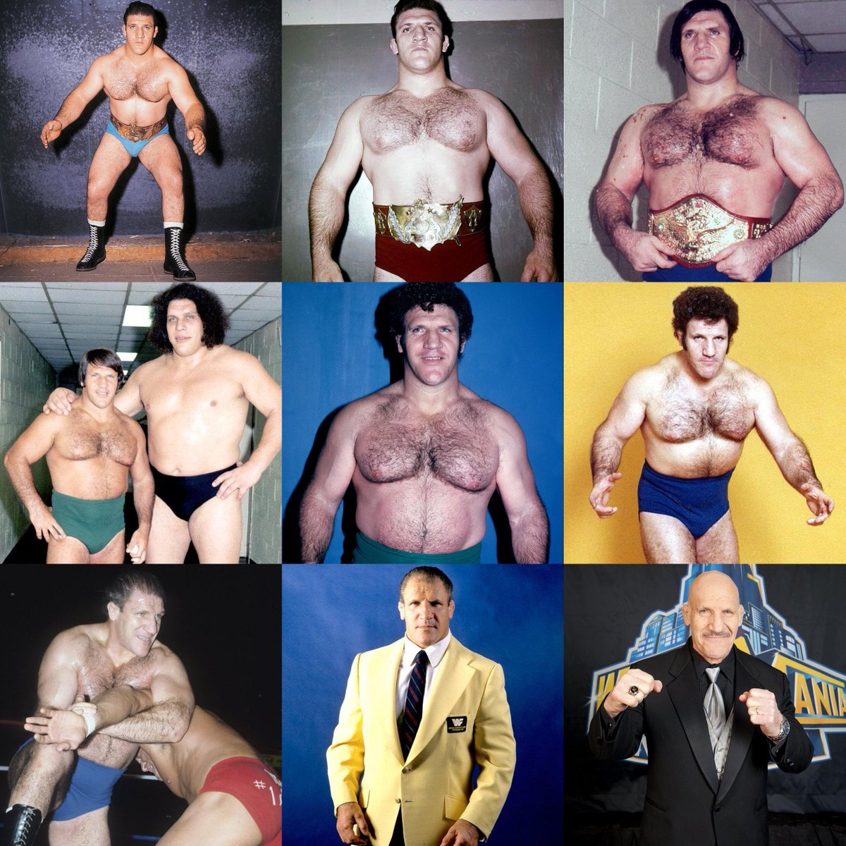 On the anniversary of his passing, we remember the legendary Bruno Sammartino! #WWF #WWE #Wrestling #BrunoSammartino