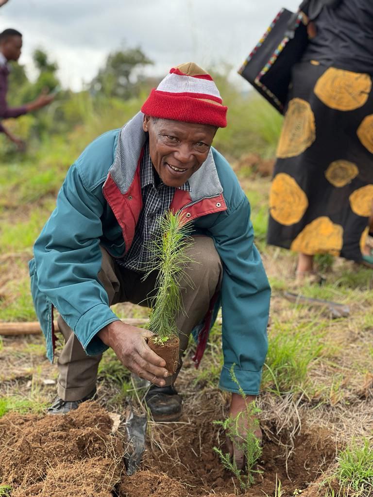 Every drop of rain is a gift from nature. We can show our gratitude by planting trees and protecting our planet for those who come after us. ⛈️🌿 #PlantATree #mondaythoughts #GlobalPeace #EnvironmentalConservation