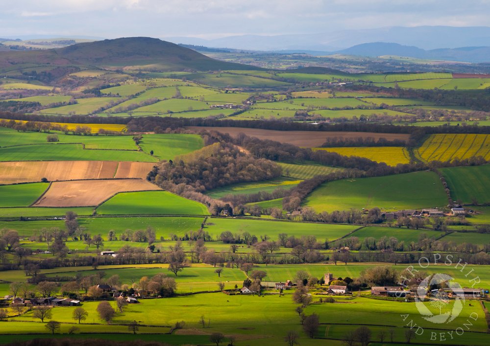 Lovely Corvedale - my view from the summit of Brown Clee, looking across Wenlock Edge towards Caradoc. The Breidden Hills are to the right, with the Berwyn Mountains are on the horizon. In the foreground is the village of Holdgate, once known as Holegot Castle. #Shropshire