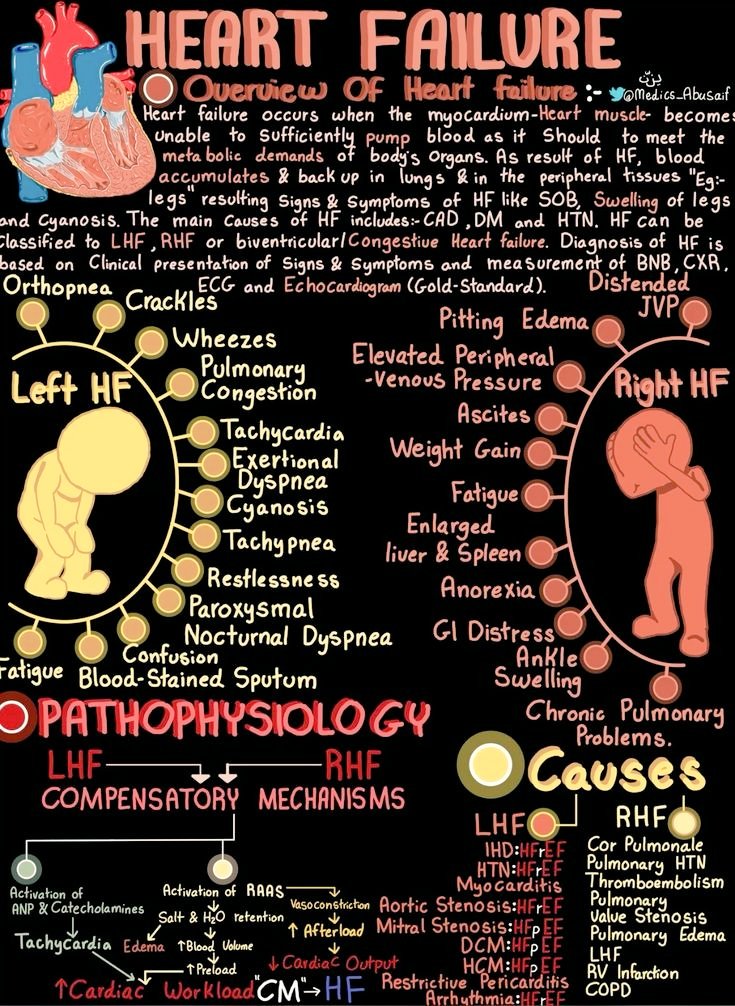 Dareen_Ali20's tweet photo. Cardiovascular summary 🩸🫀
@medics_AbuSaif https://t.co/4PFfDWlFQW