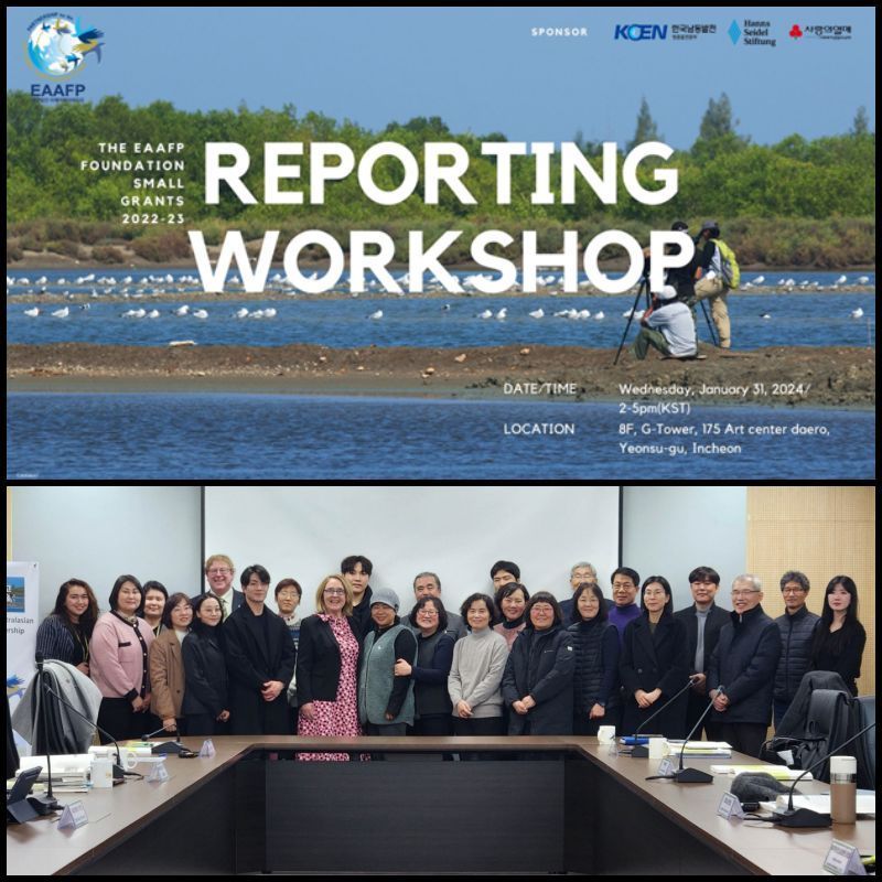 🌟 The #EAAFP Foundation's Small Grant Program 2022-2023 Reporting Workshop, held in Incheon on January 31st, highlighted the global impact of domestic waterbird conservation efforts. Applications will reopen in July. Stay tuned! Click here to read more: buff.ly/3W7XYBR