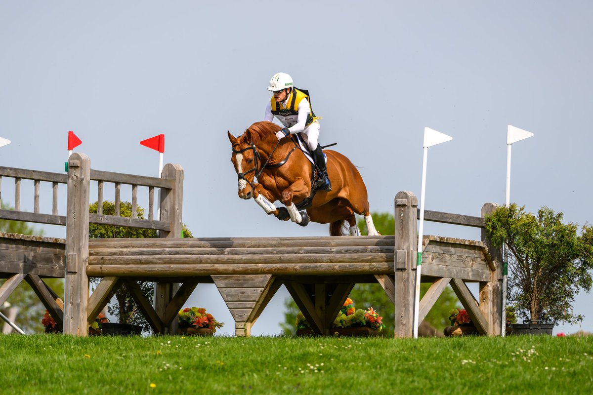 Andrew Hoy OAM OLY tweet media