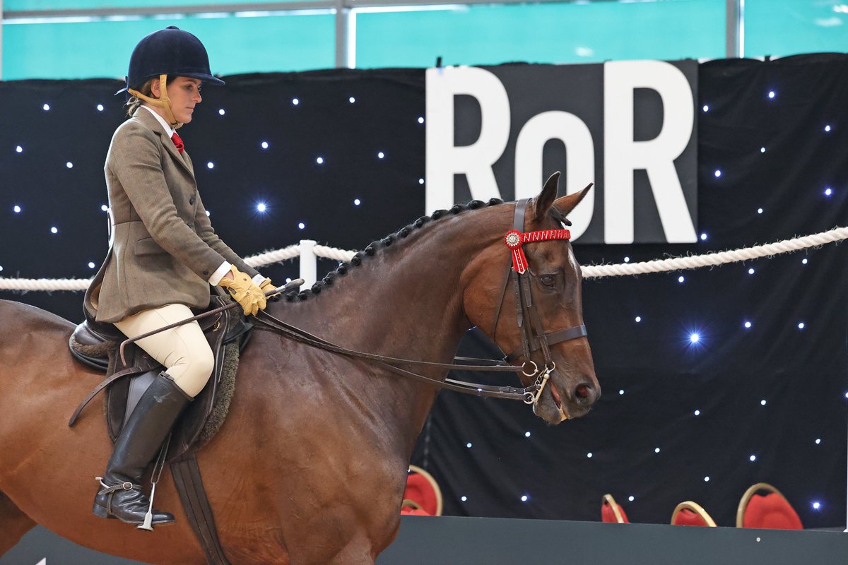 Are you headed to @aintreeracecourse on Friday? Don’t miss the RoR Parade before racing featuring horses now competing in sports from Horseball to Dressage including Blaklion, Duke of Navan and Lady Buttons. Full Story: ror.org.uk/news/from-hors…