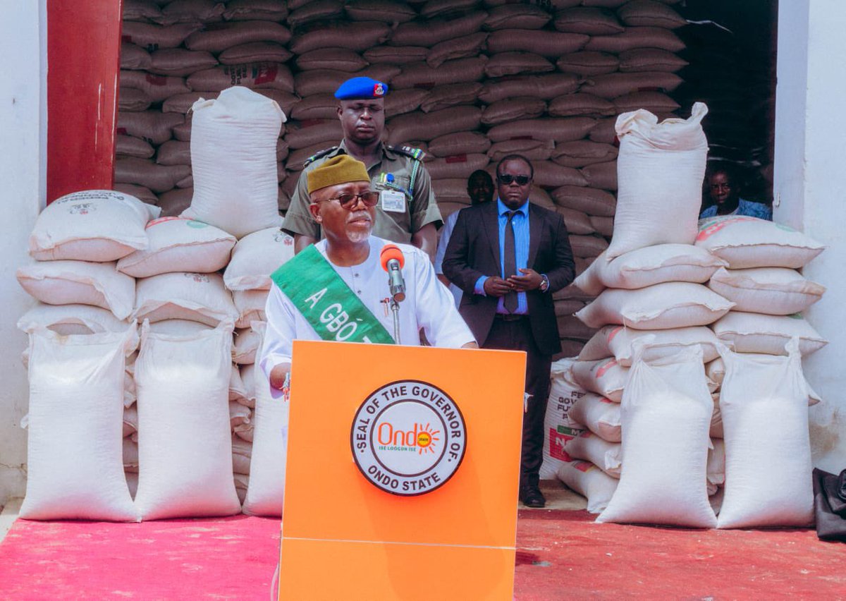 Governor @LuckyAiyedatiwa of Ondo State distributes 1200 tonnes of maize to farmers, aiming to tackle food prices and boost agriculture. #FoodSecurity #Agriculture #ondoislucky