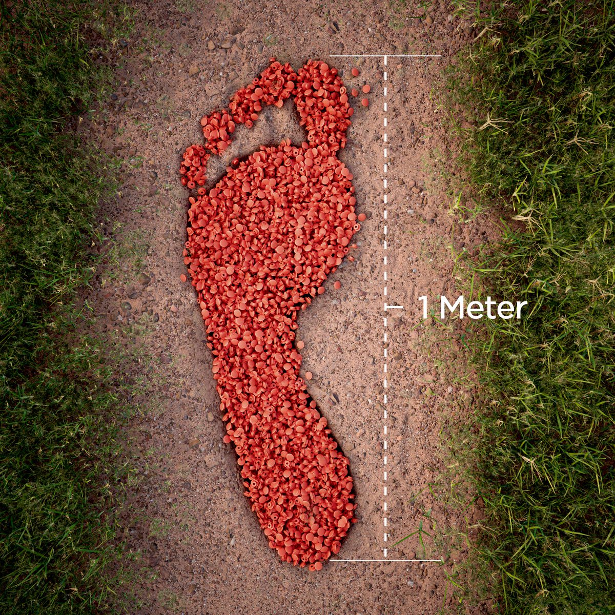 Did you know that the largest footprint on Earth is over a meter long? Can you imagine how many TrackPoints we could fit in that thing? 👣