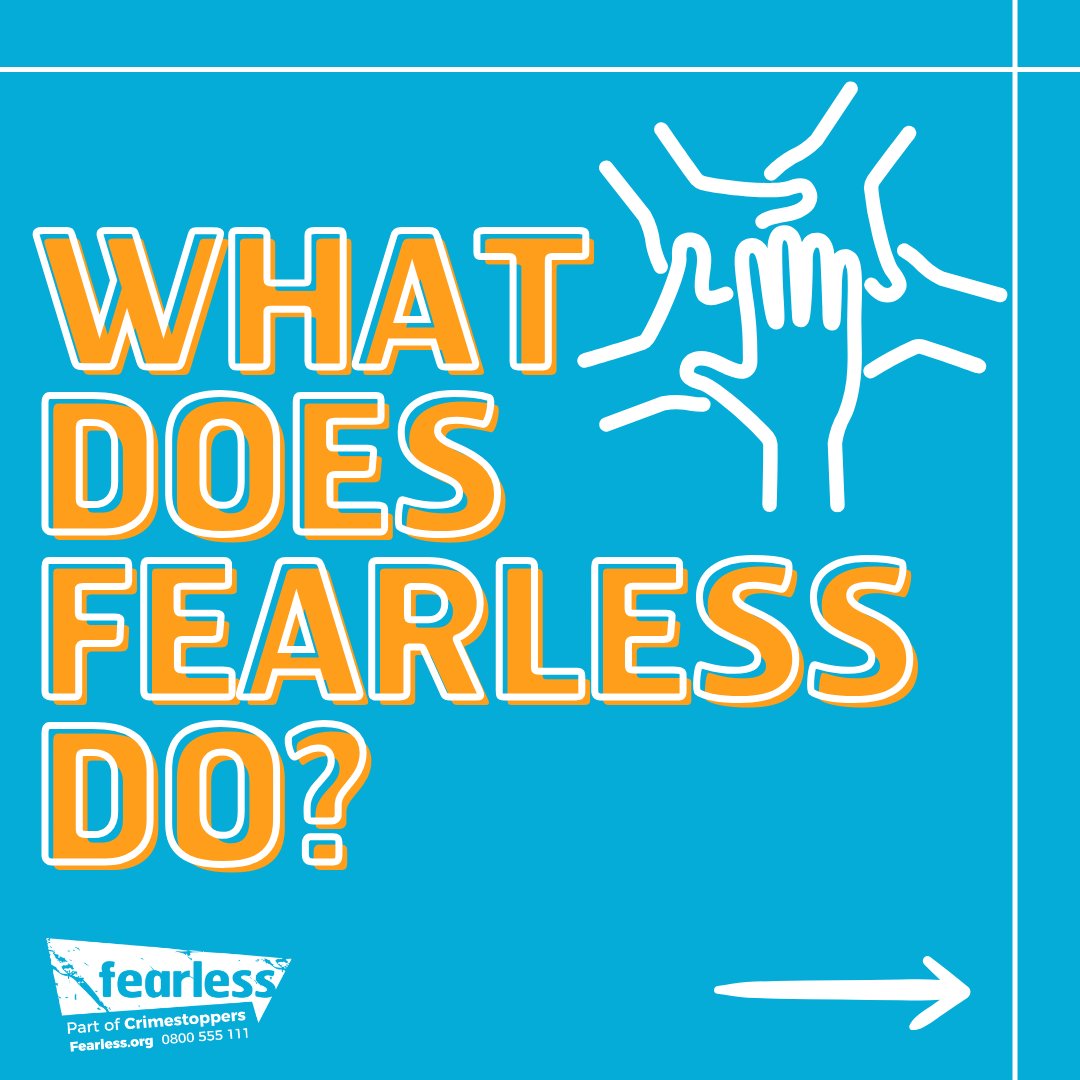 fearless.org tweet media