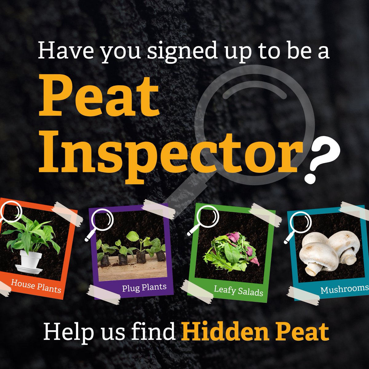 Have you signed up to be a 'Peat Inspector'? 🔎 Help us find where peat might be hiding by becoming a 'Peat Inspector'! To learn more, read our news article below: bit.ly/49aYMIV To sign up, visit: bit.ly/3rGFVmL