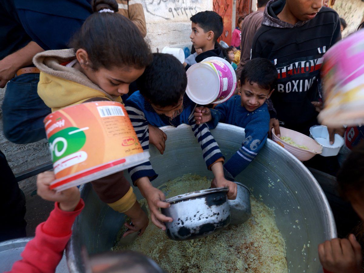 'Israël a délibérément choisi d’affamer la bande de #Gaza sous les yeux du monde entier. Nous avons besoin d’un cessez-le-feu immédiat, mais il est encore plus urgent de mettre fin à la guerre de famine d’#Israël' ✍️ Correspondant de MEE pulse.ly/25xylgmnqq