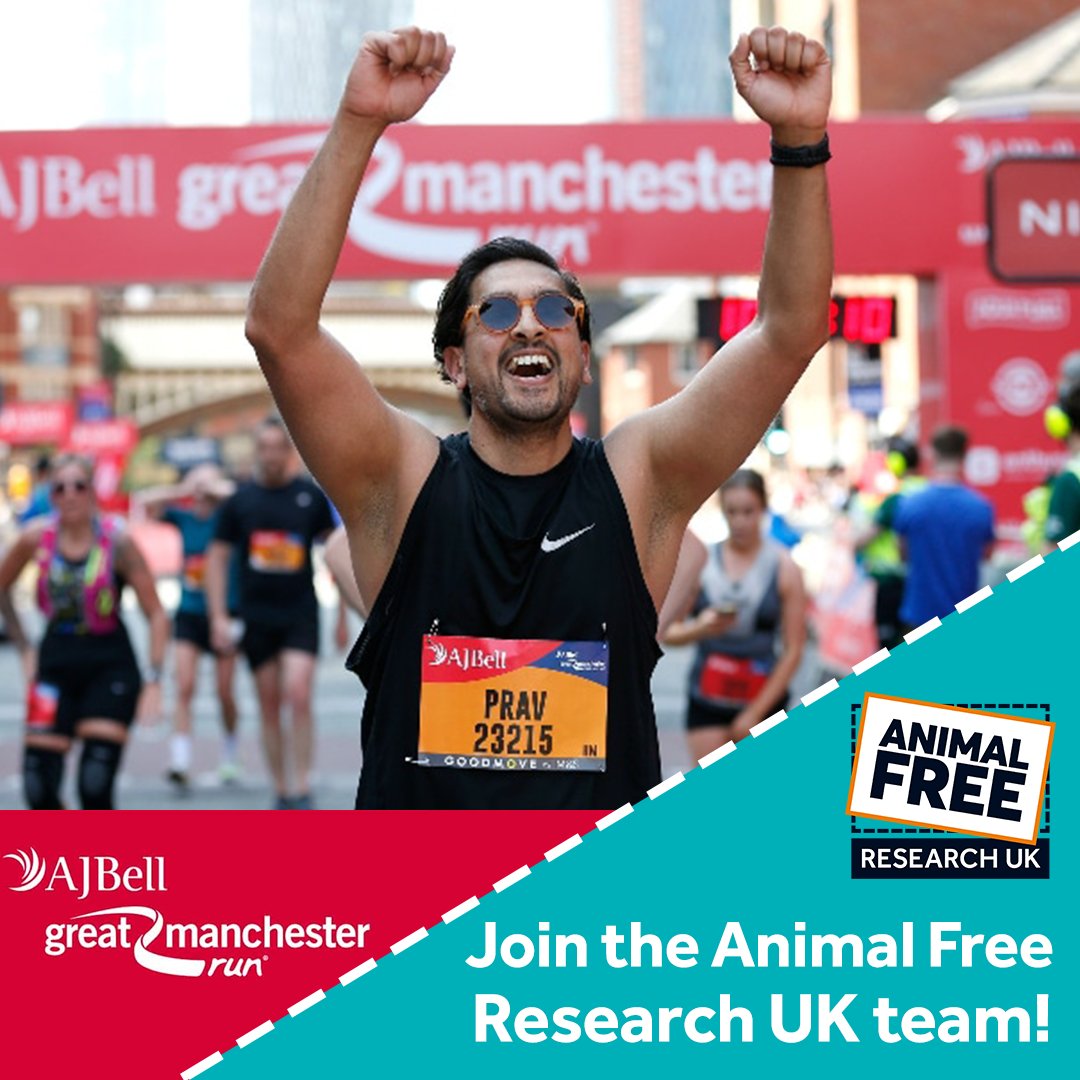 Still time to join the #GreatManchesterRun in aid of Animal Free Research UK this May! This fantastic event has some of the loudest & most enthusiastic local support - go #Manchester! Places on the #10km & #halfmarathon available. Join our team today - animalfreeresearchuk.org/great-manchest…