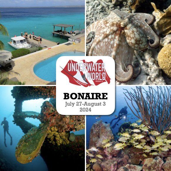 DiveUWW's tweet photo. Last Chance Bonaire 2024! https://t.co/zowUhOC5zS https://t.co/4Ge6pb8ykS